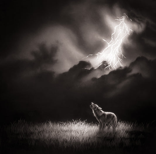 Call of the Wild
