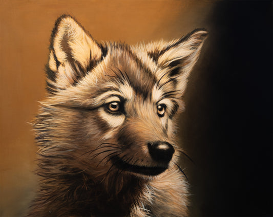 YELLOWSTONE PUP 1