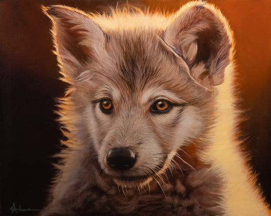 YELLOWSTONE PUP 2