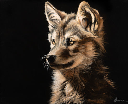 YELLOWSTONE PUP 3