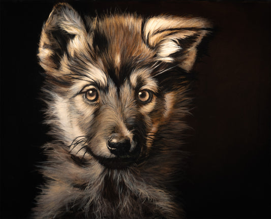 YELLOWSTONE PUP 4