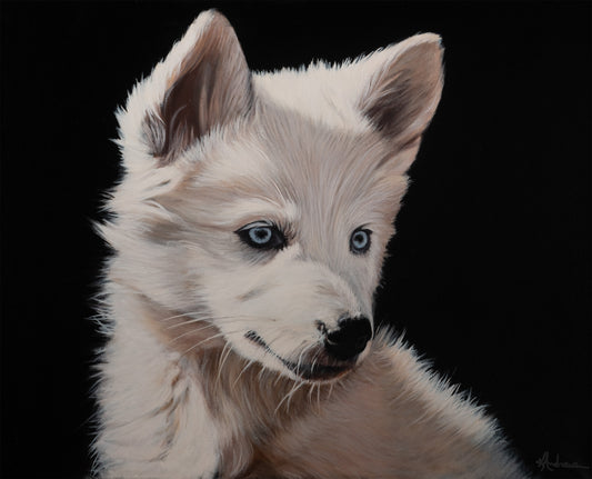 YELLOWSTONE PUP 5