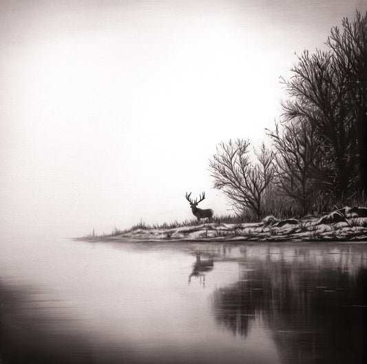 Serenity